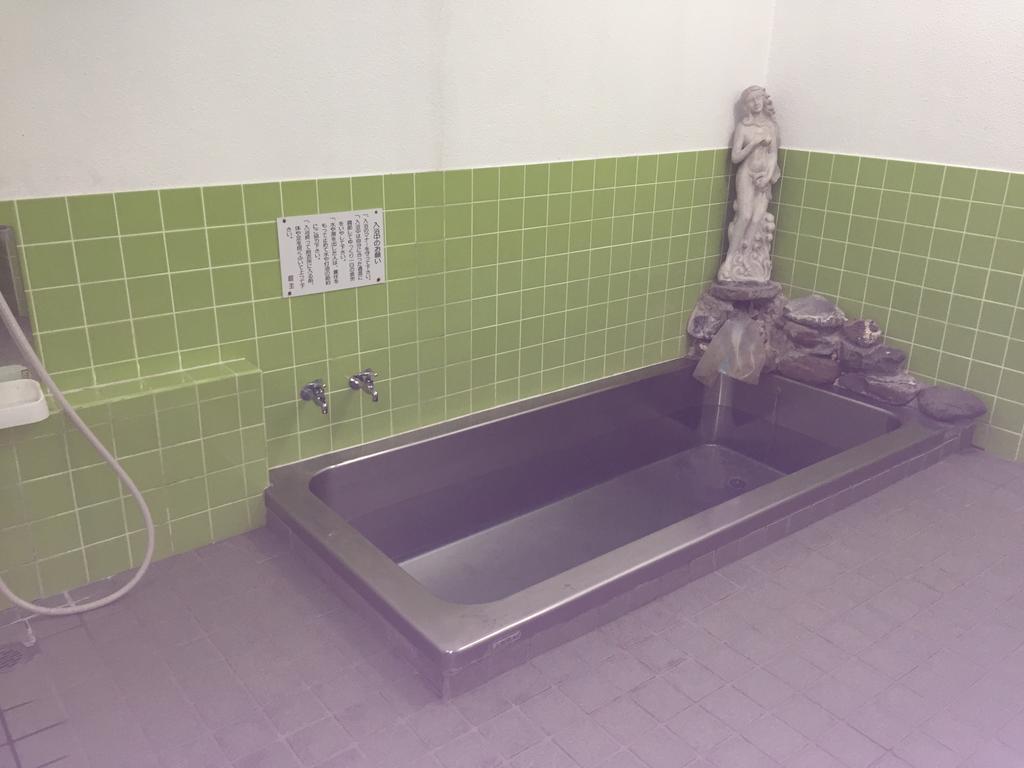Ginreiso Hotel Iiyama Bagian luar foto
